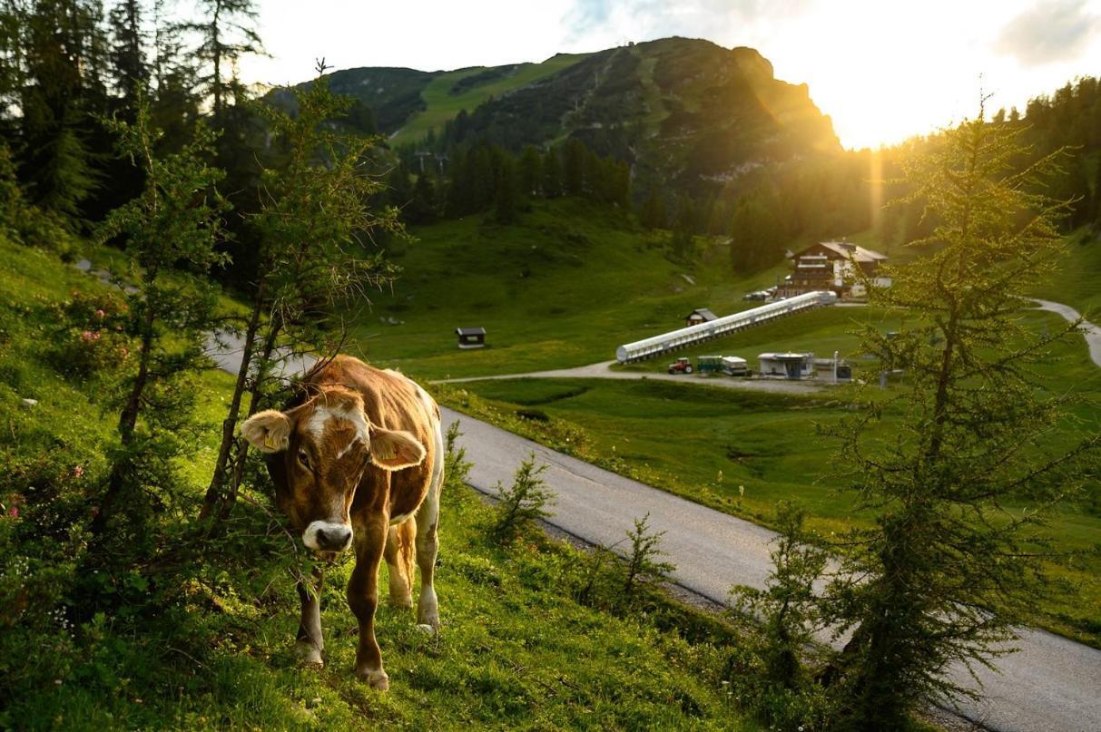 Hotel Alpen Arnika Tauplitzalm Εξωτερικό φωτογραφία