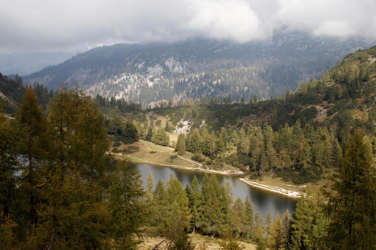 Hotel Alpen Arnika Tauplitzalm Εξωτερικό φωτογραφία
